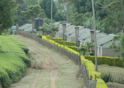 Village de travailleurs du thé, Sitoi, près de Nandi Hills, Kenya, février 2020