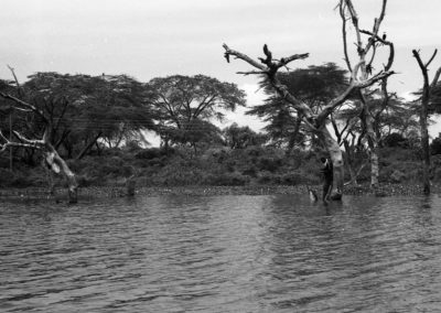 Pêcheur sur le lac Naivasha, Kenya, février 2020