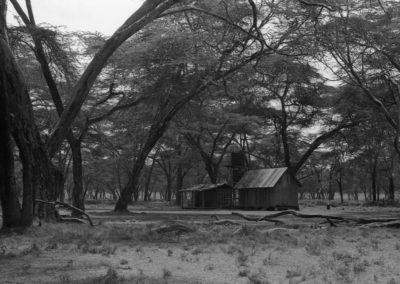 Sanctuary Farm, Lac Naivasha, Kenya, février 2020